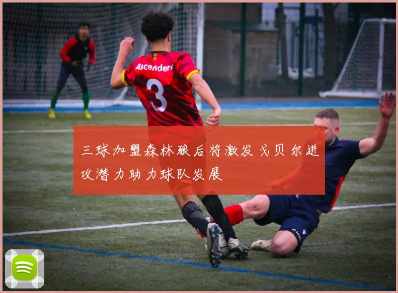 三球加盟森林狼后将激发戈贝尔进攻潜力助力球队发展